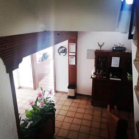Haus Schwarzwaldblick * هورنبرغ