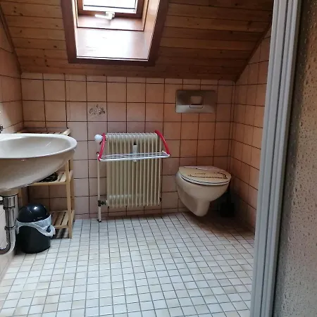 Haus Schwarzwaldblick Σπίτι διακοπών Hornberg